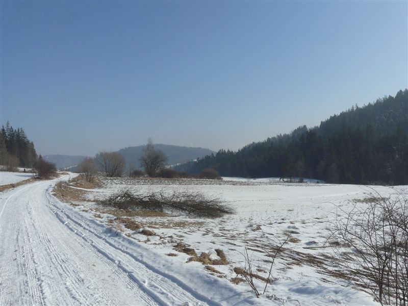 Sidzina 071